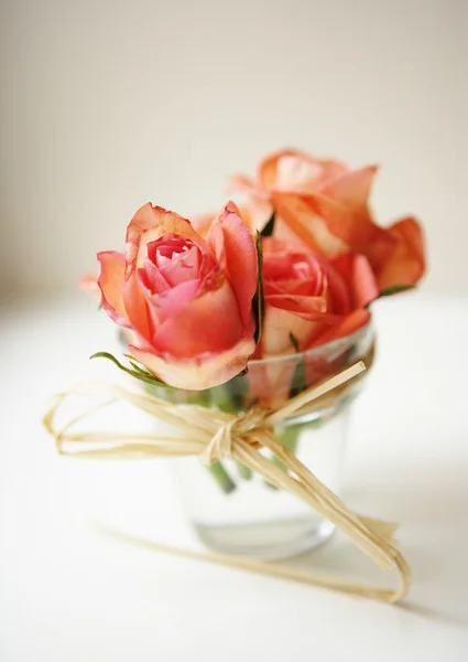 Roses in a glass — Stock Photo, Image