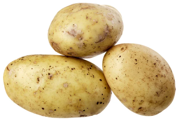 Eine Gruppe von drei Kartoffeln — Stockfoto