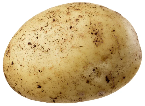A small potato — Stock Photo, Image