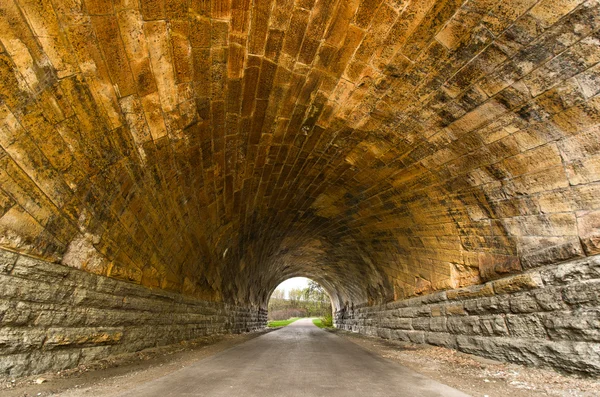 Szwed wydrążonych tuneli — Zdjęcie stockowe