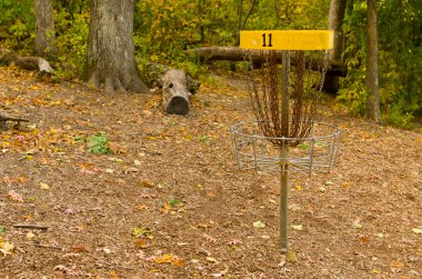 Disk Golf Catcher