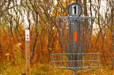 Disk Golf Catcher