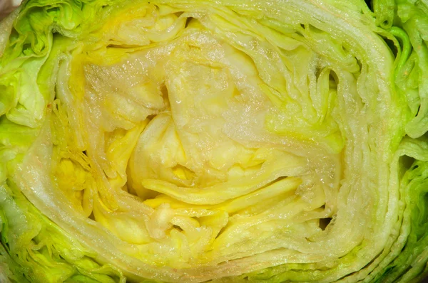 Lettuce Closeup — Stock Photo, Image