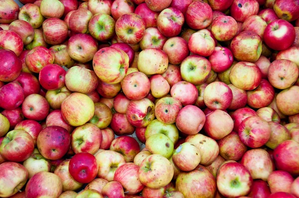 Toneladas de manzanas — Foto de Stock