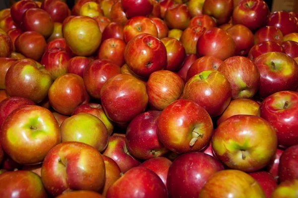 Тонны яблок — стоковое фото
