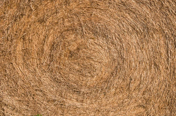 Fiança de Hay Close-up — Fotografia de Stock