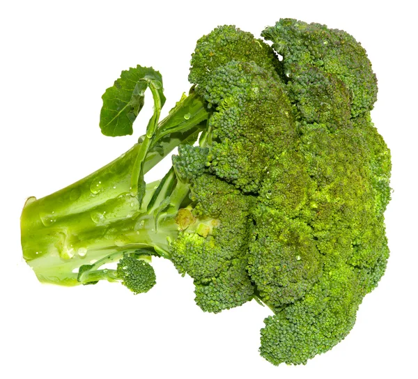 Fresh Brocolli — Stock Photo, Image