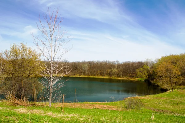 穏やかな池 — ストック写真