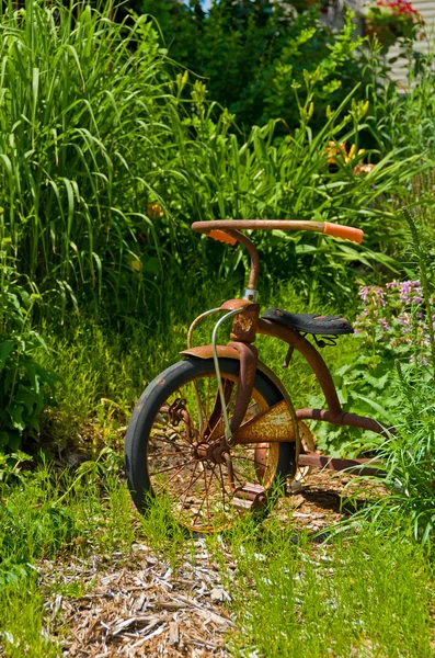 Antique Tricycle — Stock Photo, Image