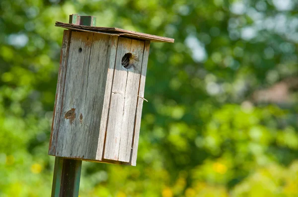 Casa de pássaro de madeira — Fotografia de Stock