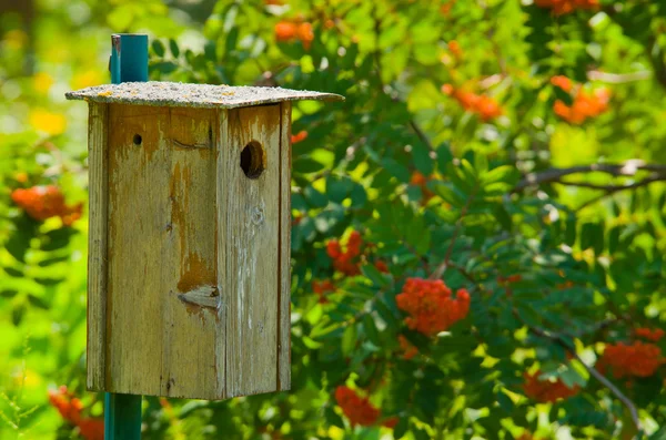 Casa de pássaro de madeira — Fotografia de Stock
