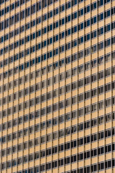 Kahverengi binaya — Stok fotoğraf