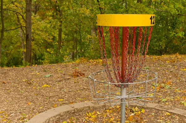 stock image Disk Golf Catcher