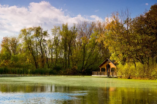 Çardak bir gölet üzerinde — Stok fotoğraf