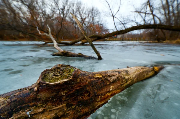 Minnesota gefrorener Teich — Stockfoto