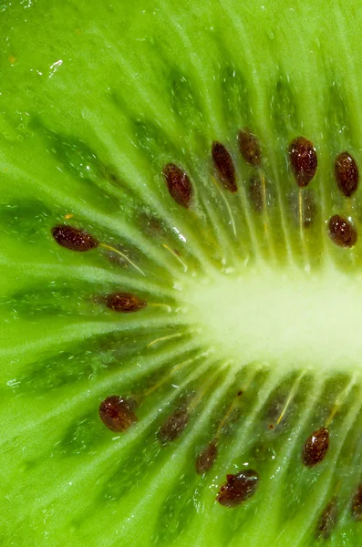 Green Kiwi — Stock Photo, Image