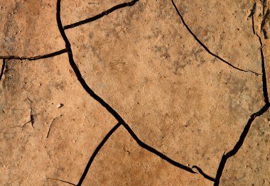 Dry terra background for different uses clipart