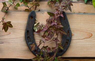 Horseshoe on the wood background for different uses clipart