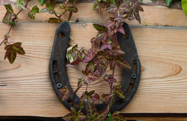 Horseshoe on the wood background for different uses