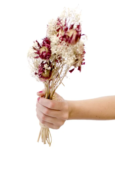 stock image Bouquet