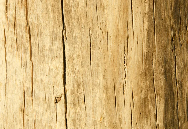 stock image Wood Texture Background