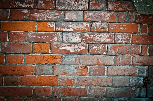 赤レンガの壁 — ストック写真