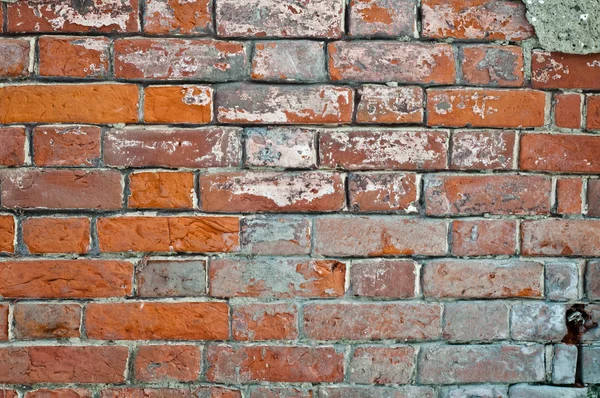 Red brick wall — Stock Photo, Image