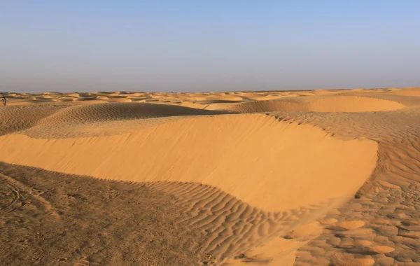 stock image Sahara desert