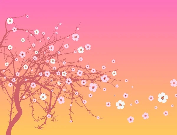 Sacura blossom — Stock Vector