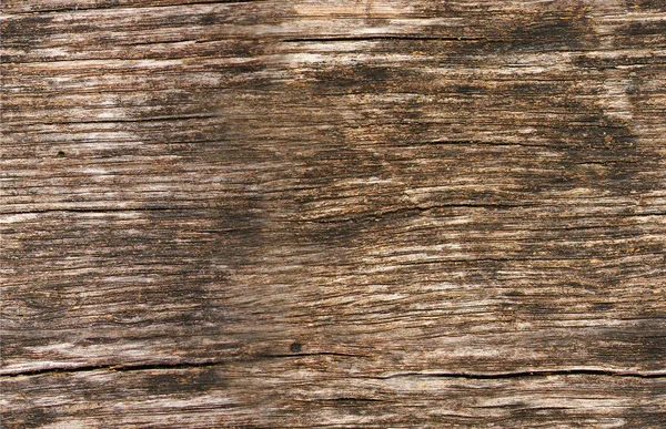Seamless texture of wood — Stock Photo, Image