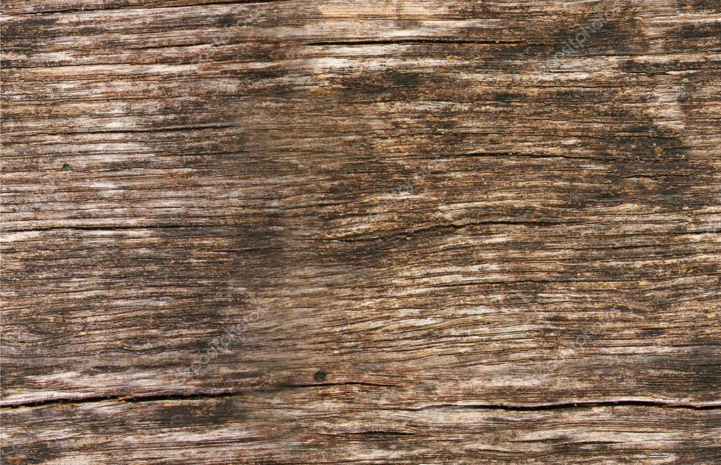 Seamless texture of wood — Stock Photo © shoshina #9798309