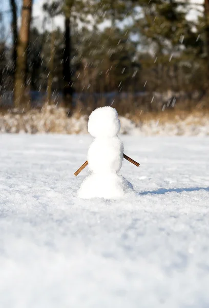 Snowman sculpted in winter — Stock Photo, Image