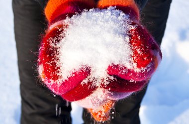 Fluffy snow holds in his hands clipart