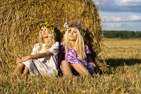 Vakre, blonde søstre i naturen – stockfoto