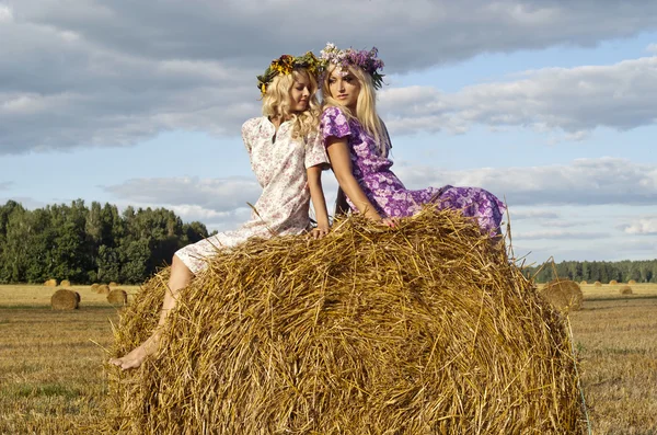 Две красивые девушки на поле — стоковое фото