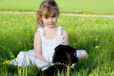 doğal çim bir köpekle oynayan kız