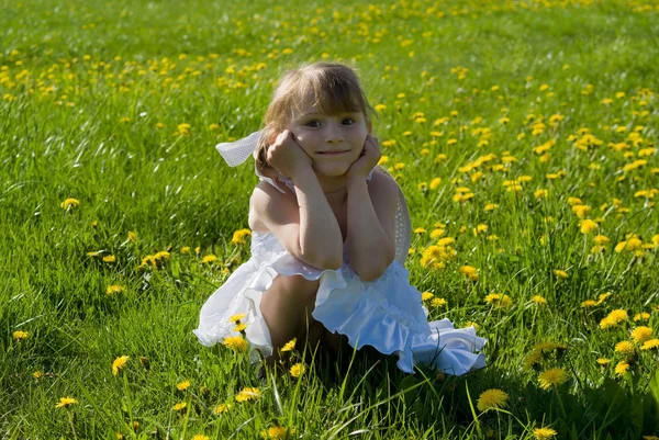 在草地上，在自然中的女孩 — 图库照片