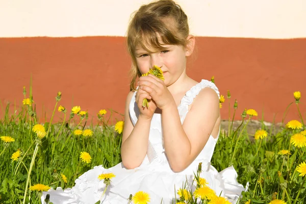 Dívka čichání Pampeliška, v přírodě — Stock fotografie