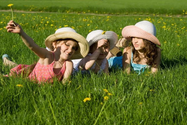 Três meninas estão brincando na grama, na natureza — Fotografia de Stock