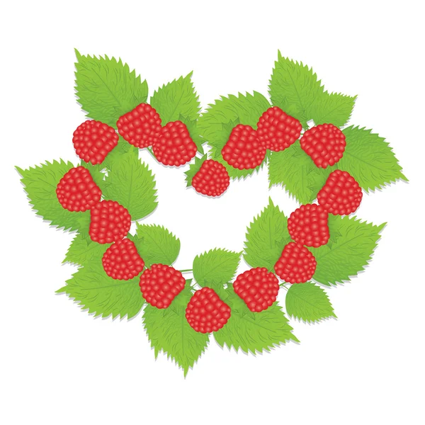 The heart of raspberry and raspberry leaf — Stock Vector