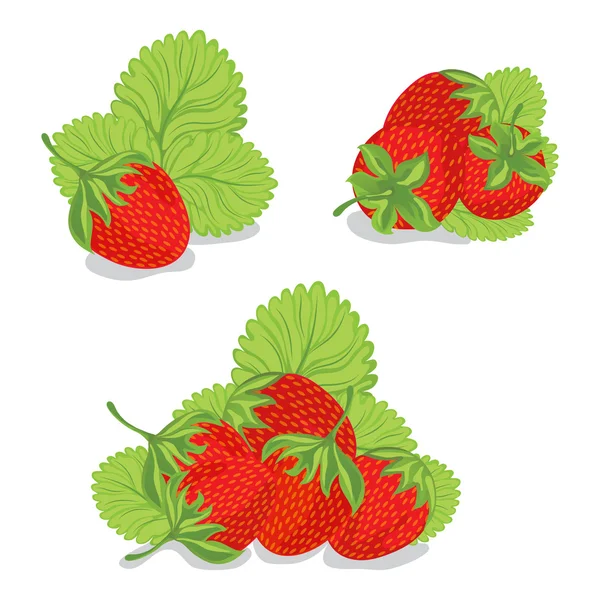 Süße Erdbeeren auf weißem Hintergrund — Stockvektor
