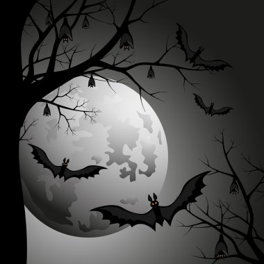 Halloween gece luna