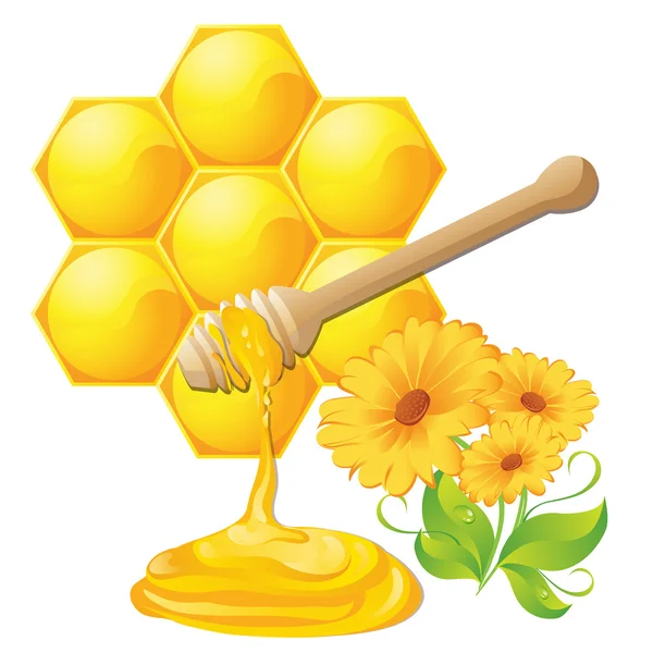 Tuffatore miele con favo d'api isolato e fiori — Vettoriale Stock