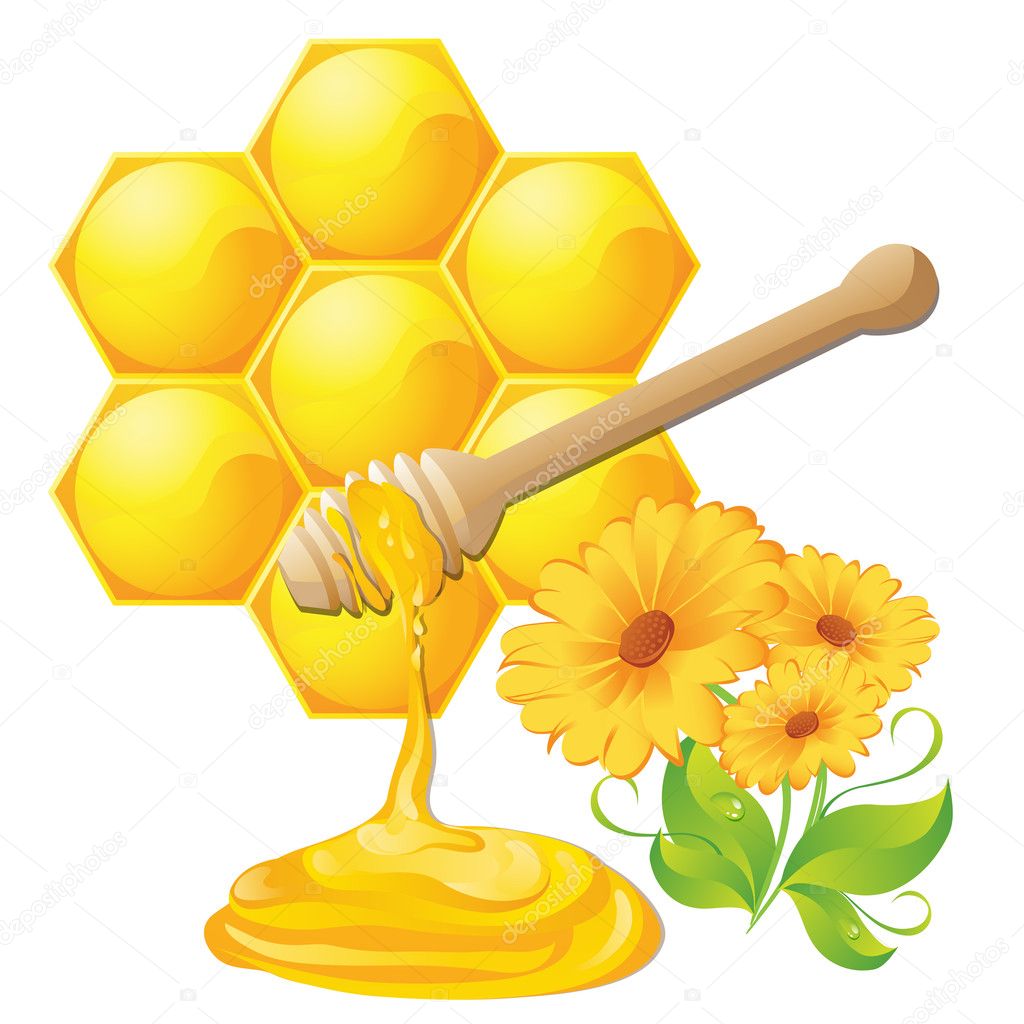 Honey dipper with bee honeycomb isolated and flowers