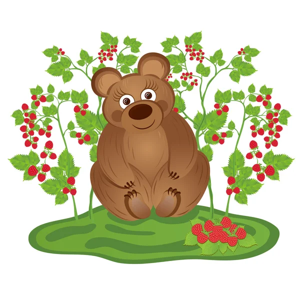 Bear, the bushes of raspberries — Stock Vector