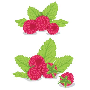 Raspberries with leaves clipart