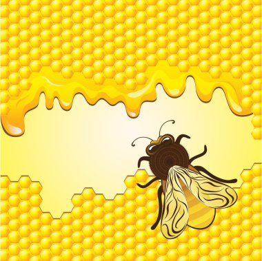 Vector bee and honeycombs clipart