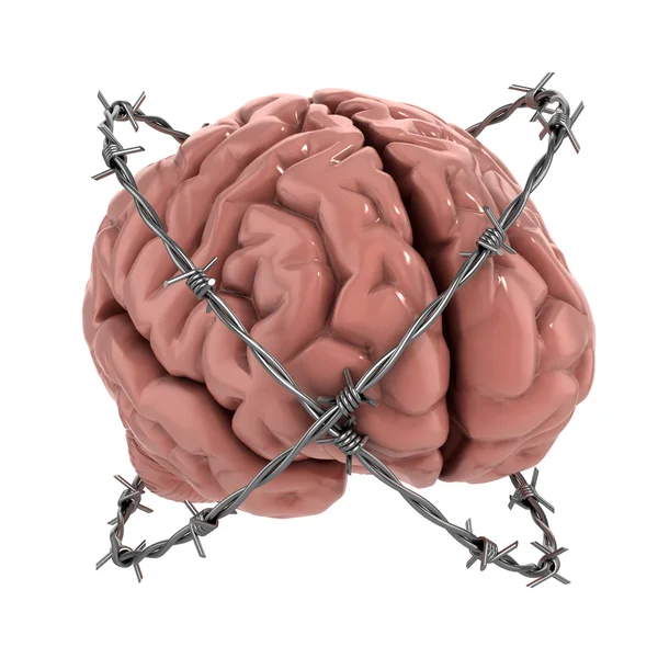 Barbwire 아래 인간 두뇌 — 스톡 사진