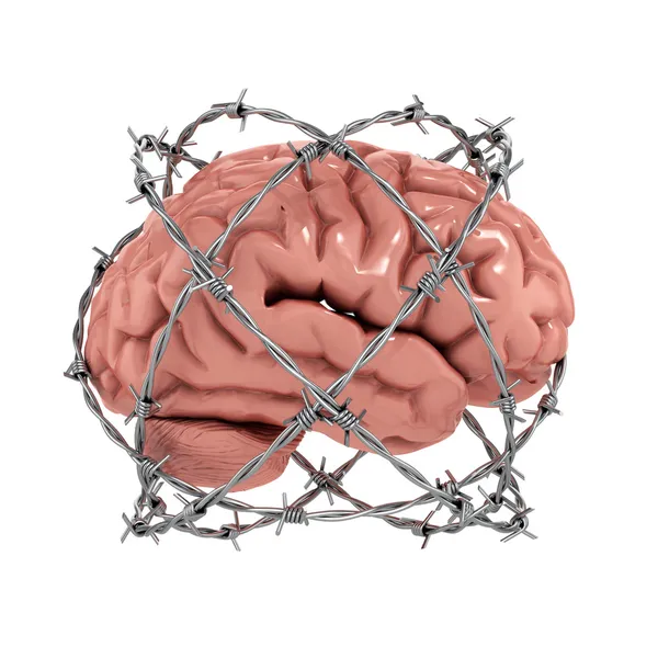Barbwire 아래 인간 두뇌 — 스톡 사진