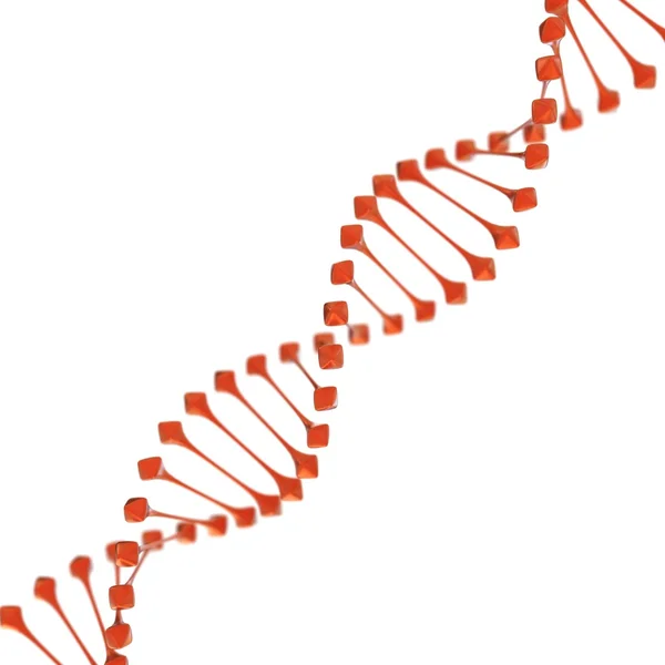 DNA σε άσπρο φόντο — Φωτογραφία Αρχείου